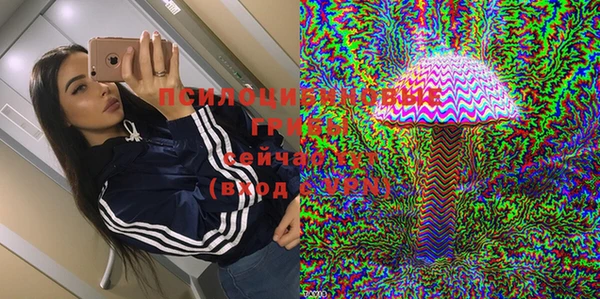 дживик Арсеньев